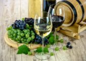 Rekordní Svatomartinská vína předčila očekávání, většina lahví má již šroubový uzávěr